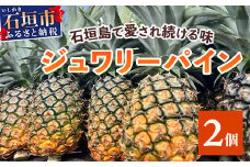 【予約受付】《2025年5月下旬～7月中旬発送》最高糖度18度！？ 完熟の極 石垣島産ジュワリーパイン 【 沖縄県 石垣市 石垣島 完熟 パイン パイナップル ジュワリー 予約受付 】TF-16-1
