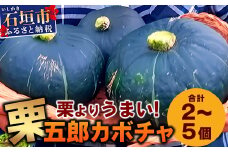 高級カボチャ「栗五郎」サイズ色々2-5個、お得セット！農薬を使わないシリカ水栽培 (1月～5月順次発送)【 産地直送 沖縄県 石垣島産 カボチャ かぼちゃ 野菜 離島のいいもの 沖縄いいもの石垣島 】OI-13