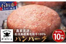 ＜先行予約＞「農家直送」石垣島黒毛和牛１００％ハンバーグ 100g×10個 《2025年3月以降順次発送》【 沖縄県 石垣 直送 黒毛 和牛 ハンバーグ 】 BO-1