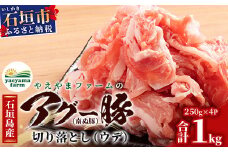 やえやまファームのアグー豚(F1種) 南ぬ豚 切り落とし ウデ 1kg 自家用 【 南ぬ豚 アグー豚 切り落とし 豚肉 肉 ウデ 石垣 石垣島 沖縄 八重山 】　E-37