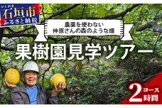 ＜1回1組限定プライベート体験ツアー！＞農薬を使わない、仲原さんの「森のような畑」【 沖縄 石垣島 畑 果樹園 見学 体験 ツアー 食育 野菜 果物 沖縄のいいもの石垣島 】OI-21-1
