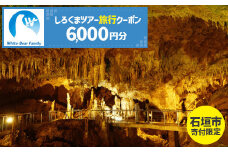 【石垣市】しろくまツアーで利用可能なWEB旅行クーポン (6,000円分)【 沖縄県 石垣市 石垣島 ツアー 紙券 クーポン 旅行券 クーポン券 旅行 宿泊 観光 旅 】WB-2