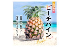 【先行予約】《2025年夏季 順次発送》石垣島産・大玉ピーチパイン ３玉 約3.0kg【 沖縄県石垣市 石垣島 フルーツ 果物 パイン パインアップル パイナップル 産地直送 】SI-37