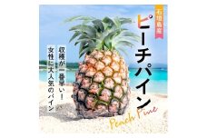 【先行予約】《2025年夏季 順次発送》石垣島産・大玉ピーチパイン ６玉 約6.0kg【 沖縄県石垣市 石垣島 フルーツ 果物 パイン パインアップル パイナップル 産地直送 】SI-38