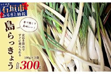 【2024年12月中旬から順次発送】島らっきょう（皮むき済み）300ｇ（100ｇ×3袋入り）【 沖縄県 石垣市 石垣 産地直送 島らっきょ 島らっきょう らっきょう 皮むき 皮むき済】KA-1