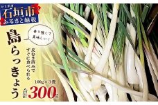 【2024年12月中旬から順次発送】島らっきょう（皮むき済み）300ｇ（100ｇ×3袋入り）【 沖縄県 石垣市 石垣 産地直送 島らっきょ 島らっきょう らっきょう 皮むき 皮むき済】KA-1