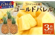 【先行予約】《2025年6月上旬より順次発送予定》最高級パイン ゴールドバレル2~3玉セット【 沖縄 石垣 パイナップル パイン ゴールド バレル 高級 セット 】TD-1-1