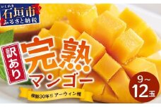 【訳あり】石垣島産 マンゴー (アーウィン種)  9～12玉(箱含め約5kg) 《樹齢30年の木で育ったマンゴー》｜産地直送 沖縄 石垣島 マンゴー  アーウィン マンゴー フルーツ TP-3