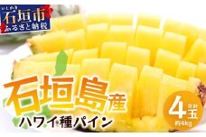 【先行予約】《2025年6月上旬頃より順次発送》石垣島産 ハワイ種 パイン (4玉 約4㎏) 【 産地直送 沖縄 石垣 パイナップル フルーツ 】石垣さんちの石垣トロピカルファーム TP-5