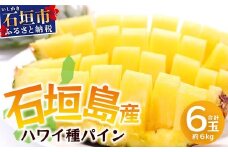 【先行予約】《2025年6月上旬頃より順次発送》石垣島産 ハワイ種 パイン (6玉 約6㎏) 【 産地直送 沖縄 石垣 パイナップル フルーツ 】石垣さんちの石垣トロピカルファーム TP-6