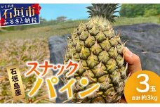 【先行予約】《2025年5月上旬頃より順次発送》石垣島産 スナックパイン (3玉 約3kg) 【 産地直送 沖縄 石垣 パイナップル パイン スナック フルーツ トロピカル 南国 】TP-7-1