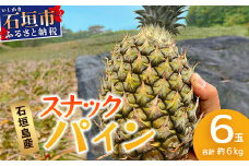 【先行予約】《2025年5月上旬頃より順次発送》石垣島産 スナックパイン (6玉 約6kg) 【 産地直送 沖縄 石垣 パイナップル パイン スナック フルーツ トロピカル 南国 】 TP-9-1