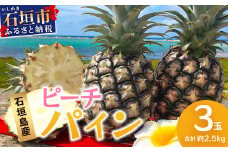 【先行予約】《2025年5月上旬頃より順次発送》石垣島産 ピーチパイン (3玉 約2.5㎏) 【 産地直送 沖縄 石垣 パイナップル フルーツ 】石垣さんちの石垣トロピカルファーム TP-10