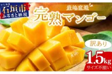 【2025年6月中旬から順次発送】【訳あり】選べる数量　サイズ不揃い　3～5玉(1.5kg)　訳あり品　マンゴー KP-27