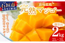 【2025年6月中旬から順次発送】2L～3L マンゴー4～6玉（2kg） 【 産地直送 旬 フルーツ 新鮮 完熟 マンゴー 石垣 沖縄 】KP-25
