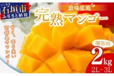 【2026年6月末から順次発送】2L～3L マンゴー3～6玉（2kg） 【 産地直送 旬 フルーツ 新鮮 完熟 マンゴー 石垣 沖縄 】KP-25