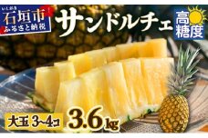 【先行予約】《2025年夏季 順次発送》サンドルチェ大玉3～４個 計3.6kg 【 産地直送 沖縄 石垣 フルーツ パイナップル パイン サンドルチェ 】SI-42