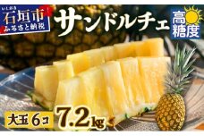 【先行予約】《2025年夏季 順次発送》サンドルチェ大玉6個 計7.2kg【 産地直送 沖縄 石垣 フルーツ パイナップル パイン サンドルチェ 】SI-43