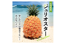 【先行予約】ジュリオスター大玉２個 計2.4kg 《６月上旬より順次発送》【 産地直送 沖縄 石垣 フルーツ パイナップル パイン ジュリオスター 】 SI-44