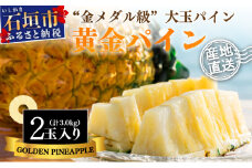 【先行予約】《2025年夏季 順次発送》黄金パイン大玉２個入 計3.0kg 【 産地直送 沖縄 石垣 フルーツ パイナップル パイン 黄金パイン 】 SI-51