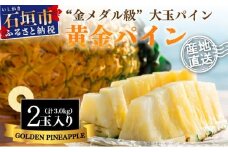 【先行予約】《2025年夏季 順次発送》黄金パイン大玉２個入 計3.0kg 【 産地直送 沖縄 石垣 フルーツ パイナップル パイン 黄金パイン 】 SI-51