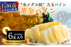 【先行予約】《2025年夏季 順次発送》黄金パイン大玉6個入 計9.0kg 【 産地直送 沖縄 石垣 フルーツ パイナップル パイン 黄金パイン 】SI-53