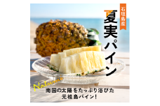 【先行予約】《2025年夏季 順次発送》夏実パイン（ハワイ種）大玉6個 計7.8kg【 産地直送 沖縄 石垣 フルーツ パイナップル パイン ハワイ 夏美パイン 】SI-49-1