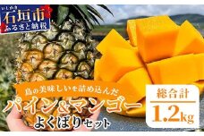《2026年6月中旬以降発送》島の美味しいを詰め込んだ、パイン＆マンゴーのよくばりセット！【 沖縄県 石垣市 石垣島 完熟 パイン パイナップル スナック マンゴー セット 詰め合わせ 産地直送 】TF-24_R8