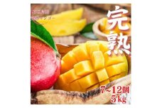 【先行予約】【石垣島産アップルマンゴー】完熟マンゴー 内容量5kg (7～12個入り)《2025年6月末〜7月下旬発送》【 産地直送 沖縄 石垣 フルーツ マンゴー アップルマンゴー 完熟マンゴー 】SI-57-1