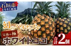 【マツコの知らない世界で絶賛！】《2026年5月以降順次発送》[先行予約] 最高糖度20度！？ 完熟の極 石垣島産幻のパイナップル ホワイトココ2個セット【 沖縄 石垣島 石垣 八重山 パイン パイナップル 期間限定 数量限定 TV テレビ 紹介 マツコ 】TF-2_R8