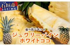 【マツコの知らない世界で絶賛！】《2026年5月～7月順次発送》最高糖度20度！？ 完熟の極 石垣島産ジュワリーパインとホワイトココの食べ比べセット 【 沖縄 石垣島 石垣 八重山 パイン ホワイト ジュワリー 期間限定 数量限定 TV テレビ 紹介 マツコ 】TF-20_R8
