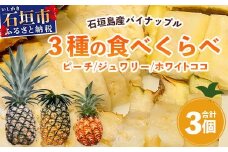 【マツコの知らない世界で絶賛！】《2025年5月～7月発送》完熟の極!? 石垣島産パイナップル 大満足の食べ比べセット ピーチ＆ジュワリー＆ホワイトココ 3種の食べ比べセット 【 沖縄 石垣島 石垣 八重山 パイン ピーチ ジュワリー ホワイトココ 期間限定 数量限定 TV テレビ 紹介 マツコ 】TF-22_R7