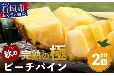 《2025年9月下旬以降発送》最高糖度20度！？ 完熟の極 石垣島産パイナップル 秋のピーチパイン2個セット【 沖縄 石垣島 石垣 八重山 パイン ピーチパイン 期間限定 数量限定 秋 】TF-19_A