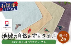 【4種のうちお好きな2枚をお届け!】地域の自然を守るタオル 選べる2枚セット｜沖縄 石垣 今治 タオル ハンカチ 自然保護 オーガニック 草木染｜　KB-184-1