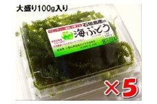 海ぶどう 100g入×5パック　計500g 大盛版 (タレ付き)・収穫当日に発送！《4月～10月順次発送》【 沖縄県 石垣市 海ブドウ 海藻 クビレヅタ 養殖 プチプチ 食感 常温 】SI-66