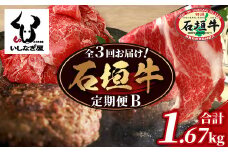 【全３回 定期便B】 石垣牛　切り落としスライス・ハンバーグ・肩ロースすきしゃぶ　計1.67kg（いしなぎ屋）【 特選肉 肉 高級 黒毛和牛 和牛 牛 】AB-30