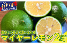 《2026年9月以降順次発送》こだわりの青切りマイヤーレモン 約2kg (12～18個) 【 沖縄 石垣 数量限定 フルーツ レモン マイヤー メイヤー こだわり 】TF-27-1_R8