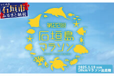 【限定30名・特典アリ】第22回石垣島10kmマラソン出走権 AAA-7