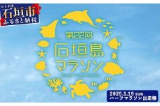 【限定30名・特典アリ】第22回石垣島ハーフマラソン出走権 AAA-8