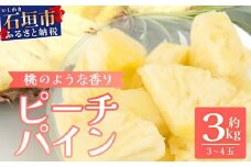 【先行予約】《2025年5月中旬頃より順次発送》石垣島産 ピーチパイン 3～4玉セット 約3㎏【 産地直送 石垣島産 石垣 完熟 パイン パイナップル 】TD-5