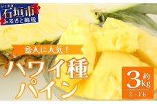 【先行予約】《2025年7月上旬頃より順次発送》石垣島産 ハワイ種パイン 2～3玉セット 約3㎏【 産地直送 石垣島産 石垣 完熟 パイン パイナップル 】TD-6