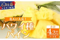 【先行予約】《2025年7月上旬頃より順次発送》石垣島産 ハワイ種パイン 3～4玉セット 約4.2㎏【 産地直送 石垣島産 石垣 完熟 パイン パイナップル 】TD-7