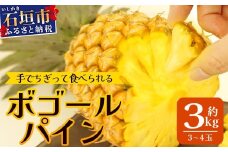 【先行予約】《2025年5月上旬頃より順次発送》石垣島産 ボゴールパイン 3～4玉セット 約3㎏【産地直送 石垣島産 石垣 完熟 パイン パイナップル スナックパイン ボゴール 】TD-3