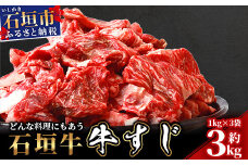 石垣牛・牛すじ ３kg （1kg×3） 冷凍便【 沖縄県 石垣市 牛肉 お肉 牛スジ 牛筋 煮込み おでん カレー 】 SI-86