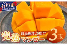 《2025年6月下旬～7月発送》【先行予約】最高糖度20度！？ 完熟！3Lサイズ 石垣島マンゴー 3玉入り【 沖縄 石垣島 石垣 八重山 マンゴー 完熟 期間限定 数量限定 沖縄県 石垣島産 】TF-28