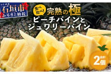 《2025年5月～7月順次発送》【先行予約】最高糖度20度以上！？ 完熟の極 石垣島産ピーチパインとジュワリーパインの食べ比べセット【 沖縄 石垣 ジュワリー ピーチ パイン パイナップル 完熟 セット フルーツ デザート 食べ比べ 】 TF-32