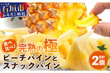 《2026年4月～6月順次発送》【先行予約】最高糖度20度以上！？ 完熟の極 石垣島産ピーチパインとスナックパインの食べ比べセット【 沖縄 石垣 ピーチ スナック パイン パイナップル 完熟 セット フルーツ デザート 食べ比べ 】TF-33_R8