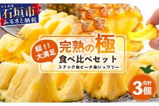 《2025年4月～6月順次発送》【先行予約】完熟の極 石垣島産パイナップル　超大満足の食べ比べセット　スナック＆ピーチ＆ジュワリー3種の食べ比べセット【 沖縄 石垣 ピーチ スナック ジュワリー パイン パイナップル 完熟 セット フルーツ デザート 食べ比べ 3種 】 TF-34