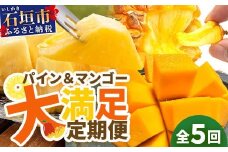 《2025年4月以降発送》【先行予約】島のおいしいを贅沢に！パイナップル3種とマンゴー2種のよくばり定期便【 沖縄 石垣 ピーチ スナック ジュワリー キーツ マンゴー パイン パイナップル 完熟 セット フルーツ デザート 食べ比べ 定期便 】 TF-39
