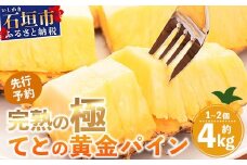 《2026年5月中旬以降順次発送》香りに溺れる！？ 完熟の極 てとの黄金パイン大玉約4kg【 沖縄 石垣 ゴールデン 黄金 パイン パイナップル 完熟 大玉 セット フルーツ デザート 】TF-25_R8